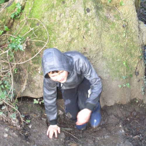 Stream Walk Tree 2